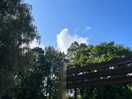 The gorgeous sky
