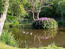 The fishing lakes with a picnic bench beside it.