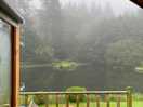 View from the cabin on a misty morning.