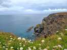 Hells mouth