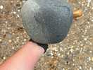 Fossil hunting