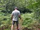 Woodland walk