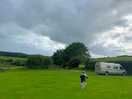Lovely green space