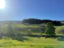 Gorgeous views on a morning!