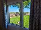 View from the bedroom window
