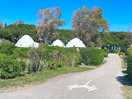 Many options to camp here