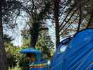 Our pitch under the pines