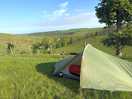 Our pitch