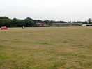 Whole site