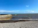 Lyme bay 10 mins away