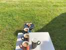 Lovely cup of tea to start the morning