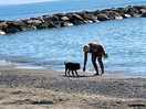 Hunden får vara på beachen