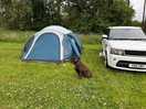 Home for the night. wish we had longer