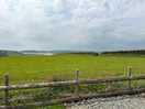 Site