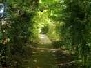 Pretty walk to village from manor camp