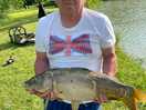 Carp caught in the bottom lake