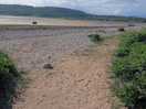 Red dragons bay 10 mins from site