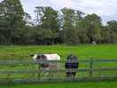 Lovely neighbours and very quiet surprisingly