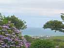View from wooda farm beautiful landscaping