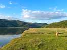 Estuary, 10 min walk from the site!