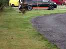 Our camper on the electric hookup hard standing pitch no 1
