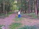Sheringham park.