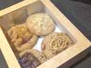 The cookies were an added extra and they certainly did not disappoint.
