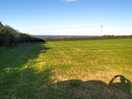 The site