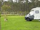 Our van on the pitch which was huge!