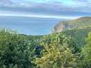 View from the ridge on way down to lynmouth or toward valley of the rocks from campsite