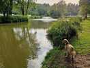 Lovely walks