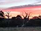 Beautiful sunset