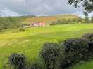 Peaceful surroundings