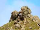 Caer caradoc