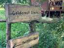 Quirky signs