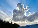Dog in clouds