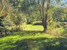 The wooded areas