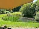 Local forest of dean pub lunch !