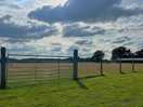 Beautiful field in front of our motorhome