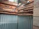 Shower - rustic and novel !