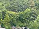 Beautiful valley location.