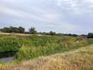 Riverbank views