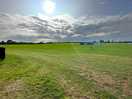 A big field with many options to pitch your tent.