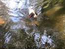 River in campsite