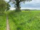Walk