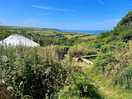 View from the kitchen outbuilding