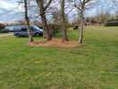 The pitch area facing away from the shower block.