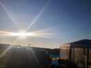 Gorgeous sunshine on our set up.