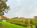My tent with beautiful brown tress. it was a thrilling experience. sound of rain made me glad.