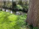 Lovely riverside pitches